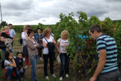 FVCA-Ausflug-2013_0005