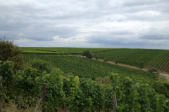 FVCA-Ausflug-2013_0011