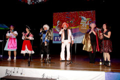 FVCA-Helau-Nacht-2017_0058