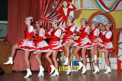 FVCA-Sitzung-2010-0361