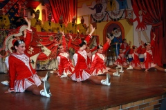 FVCA-Sitzung-2011-0028