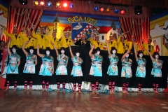 FVCA-Sitzung-2011-0176