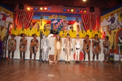 FVCA-Sitzung-2011-0306