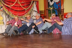 FVCA-Sitzung-2011-0374
