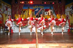 FVCA-Sitzung-2011-0377