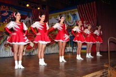 FVCA-Sitzung-2011-0385