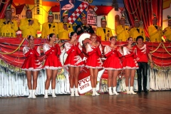 FVCA-Sitzung-2011-0389