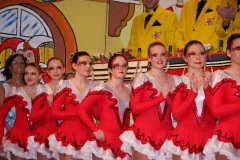 FVCA-Sitzung-2012_0141