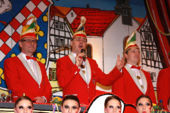 FVCA-Sitzung-2013_0007