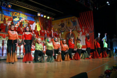 FVCA-Sitzung-2013_0147