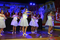 FVCA-Sitzung-2016_0374