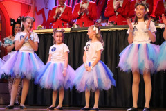 FVCA-Sitzung-2018_0545
