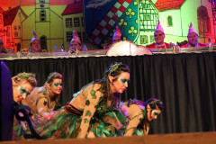 FVCA-Sitzung-2019_0753
