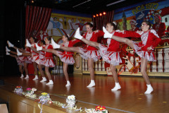 FVCA-Sitzung-2020_0080