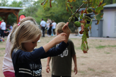 FVCA-Sommerfest-2018_0045