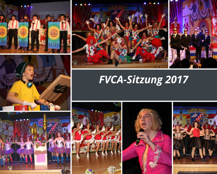 FVCA Sitzung 2017 700